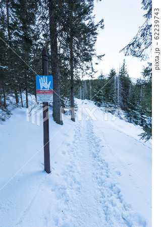 Avalanche warning sign saying Danger of Avalanches Avalanche warning sign saying Danger of Avalanches 62239743