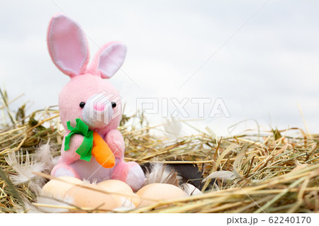 a small plush rabbit in a nest with Easter eggs, a a small plush rabbit in a nest with Easter eggs, a 62240170