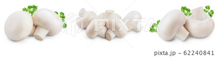 Fresh mushrooms champignon isolated on white background with clipping path and full depth of field. Set or collection 62240841