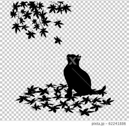 シルエット　動物　猫　もみじを見上げる猫 62241886