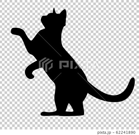 シルエット 動物 猫 上に上がるのイラスト素材