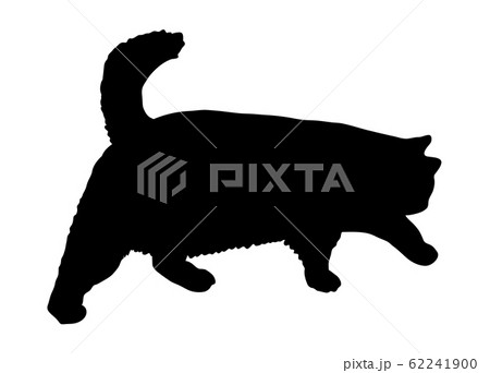シルエット　動物　猫　歩く02 62241900
