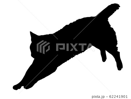 シルエット 動物 猫 飛びうつる シルエット 動物 猫 飛びうつる 62241901