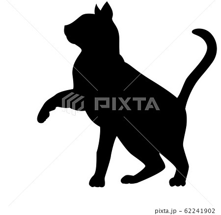 シルエット 動物 猫 手を掛けるのイラスト素材