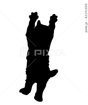 シルエット 動物 猫 ジャンプ02 シルエット 動物 猫 ジャンプ02 62241930