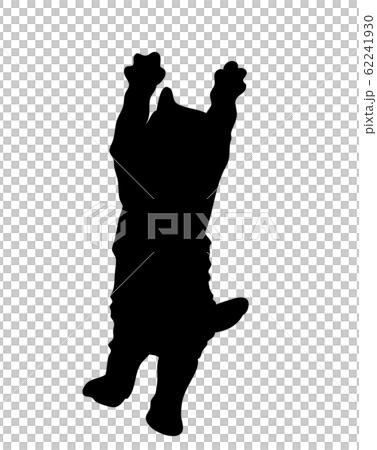 剪影動物貓跳02 62241930