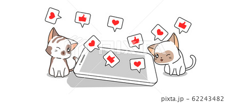 Cute couple cat is playing social media via smart phone 62243482