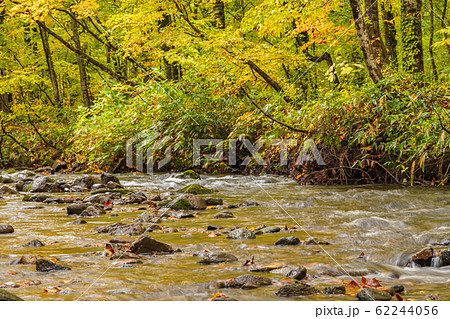 秋の森吉山 62244056