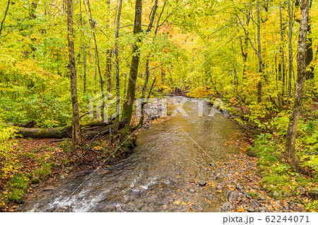 秋の森吉山 62244071