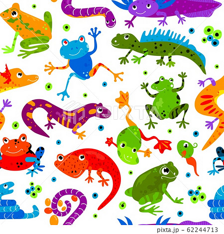 Seamless pattern wild cute cartoon animal flat isolated vector illustration. Amphibians reptiles lizard frog snake gecko triton decoration background. 62244713
