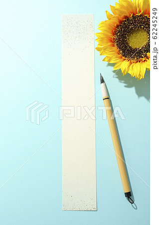 夏の句を詠む 62245249