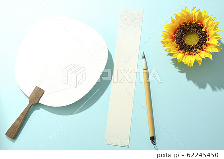 夏の句を詠む 夏の句を詠む 62245450