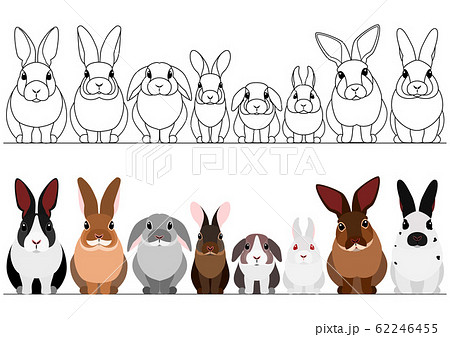リアルなウサギたち 一列 並ぶのイラスト素材