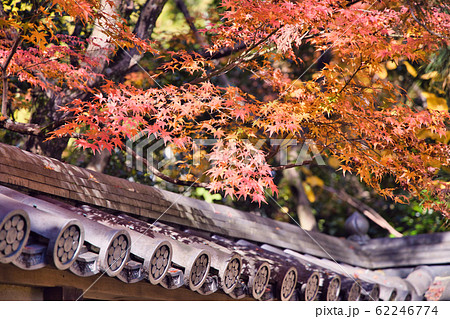 京都寺院の紅葉 62246774