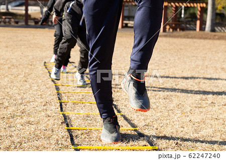 ラダートレーニング ラダートレーニング 62247240