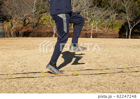 ラダートレーニング ラダートレーニング 62247248