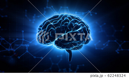 脳 頭脳 ブレイン 頭 あたま ヘッド 医療 科学 3dイラスト Cg 背景のイラスト素材