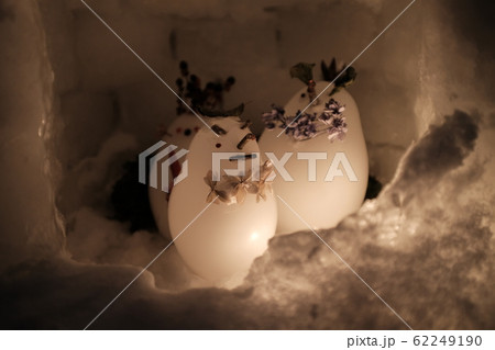 冬の北海道 62249190