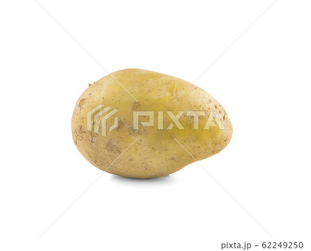 potato an isolated on white background 62249250