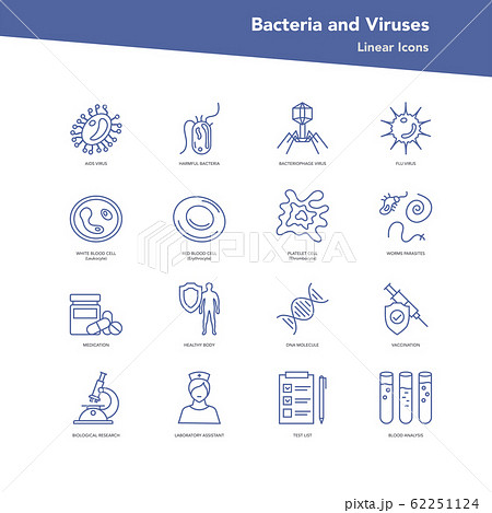 Vector set of linear icons - Bacteria and viruses Vector set of linear icons - Bacteria and viruses 62251124