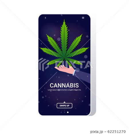 Human Hand Holding Cannabis Marijuana Leaf Hemp のイラスト素材