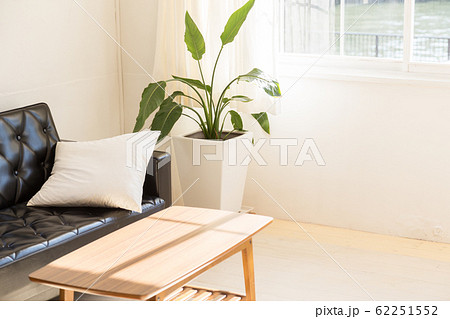 ワンルームのリビング ワンルームのリビング 62251552
