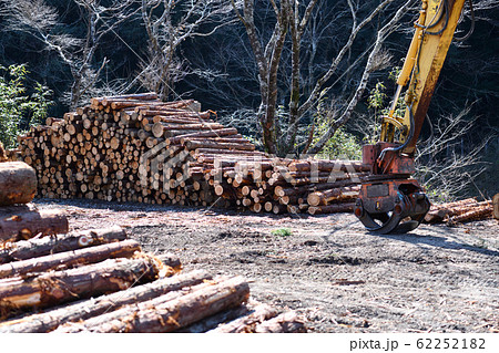 間伐材 62252182