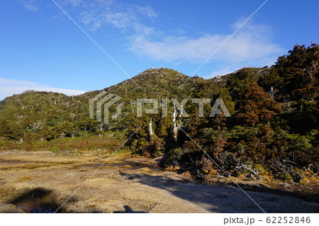 屋久島 花之江河の湿地 黒味岳方面 屋久島 花之江河の湿地 黒味岳方面 62252846