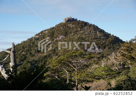 屋久島 高盤岳山頂 屋久島 高盤岳山頂 62252852