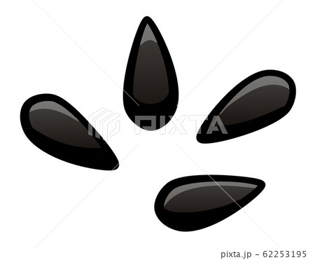 Cartoon style sunflower seeds on white background Cartoon style sunflower seeds on white background 62253195
