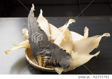 フカヒレ 62255791