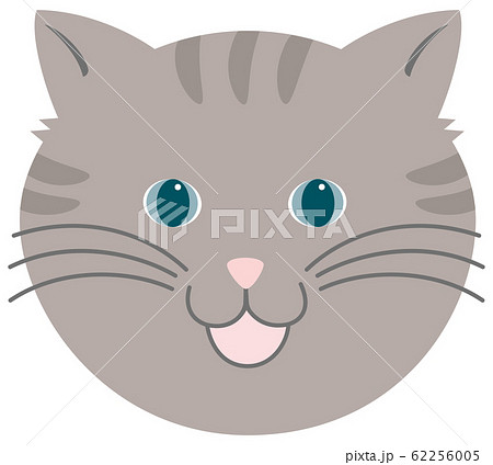 猫の顔 キジトラ アメリカン ショートヘアのイラスト素材