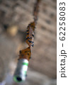 flytrap flypaper. hanging insect tape close-up 62258083