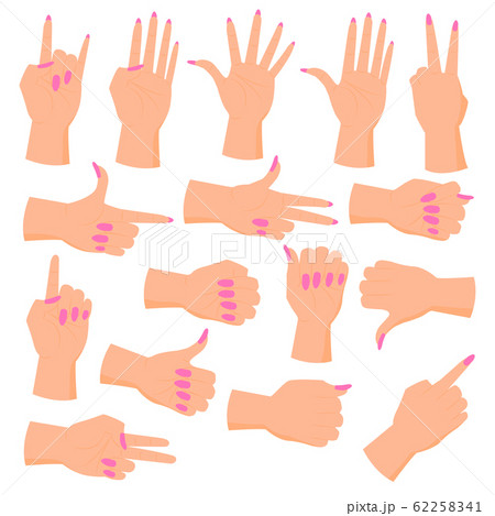 set female hands. Hands in various gestures. 62258341