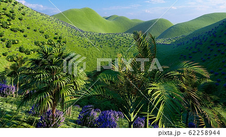 Jungle hills in Okinawa, Japan 3d rendering 62258944