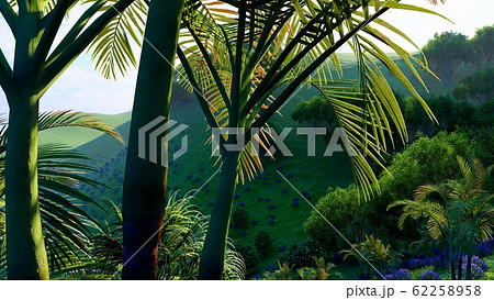 Jungle hills in Okinawa, Japan 3d rendering Jungle hills in Okinawa, Japan 3d rendering 62258958