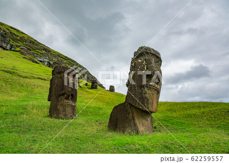 Bottom view of crooked moais in the hillside 62259557