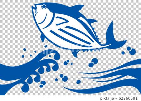 Bonito Nami 62260591