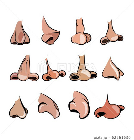 Vector illustration of 12 noses cartoon set for character animation Vector illustration of 12 noses cartoon set for character animation 62261636