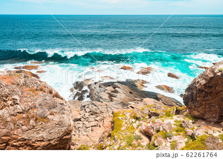 Kangaroo Island coastal view with Fur Seals 62261764