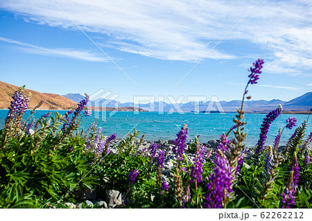 テカポ湖　Lake Tekapo  62262212