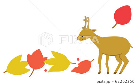 紅葉と鹿　秋 62262350
