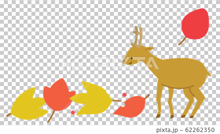 紅葉と鹿　秋 62262350