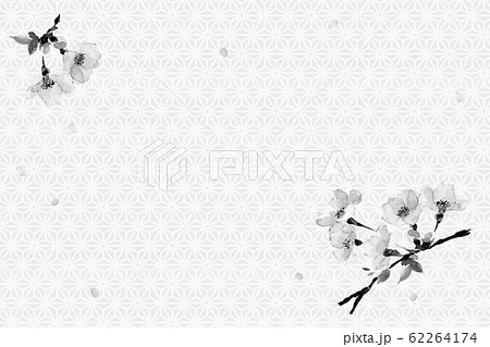 さくら ソメイヨシノ 花吹雪 水彩 水墨画風 和柄背景 モノトーンカードのイラスト素材