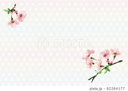 さくら ソメイヨシノ 花吹雪 水彩 和柄背景 カード 62264177