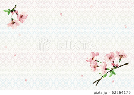 さくら ソメイヨシノ 花吹雪 水彩 和柄背景 カード 62264179