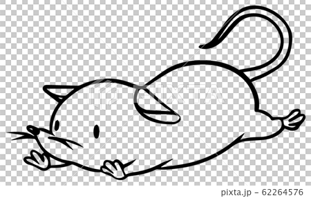 Illustration of a simple mouse (line only) Illustration of a simple mouse (line only) 62264576