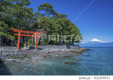 御浜岬公園　鳥居と駿河湾と富士山　「沼津市戸田」 62264652
