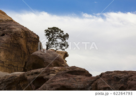 Ancient abandoned rock city of Petra in Jordan tourist attraction  62264793