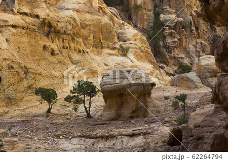 Ancient abandoned rock city of Petra in Jordan tourist attraction Ancient abandoned rock city of Petra in Jordan tourist attraction 62264794